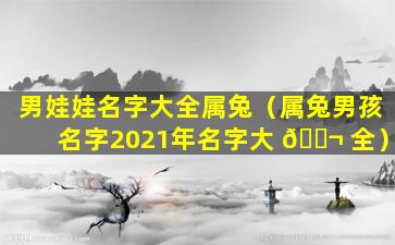 男娃娃名字大全属兔（属兔男孩名字2021年名字大 🐬 全）